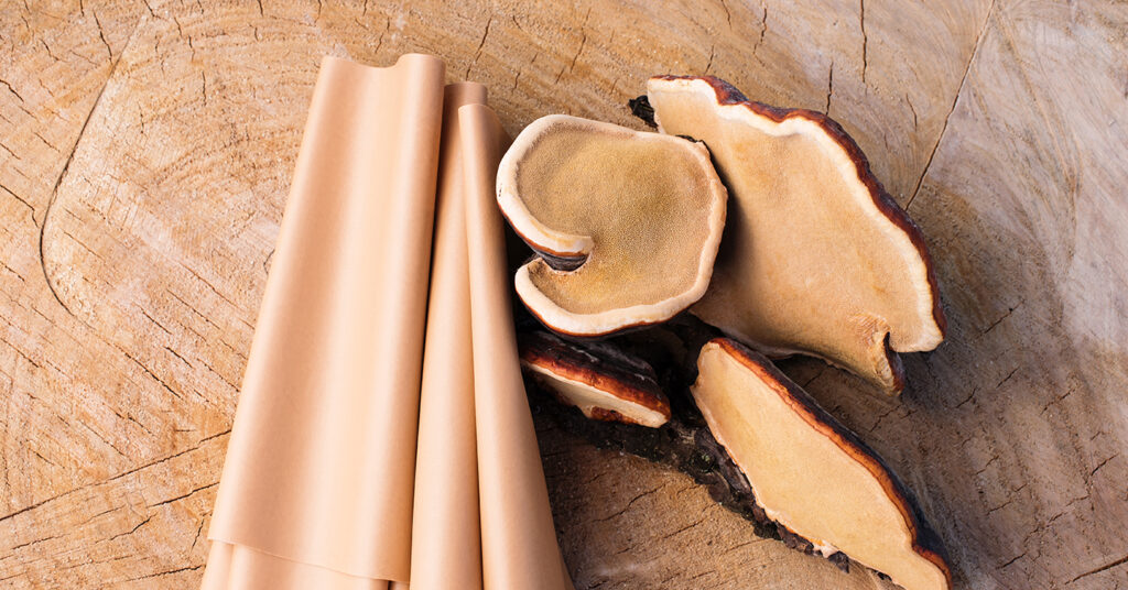 Mushroom Leather Fashion